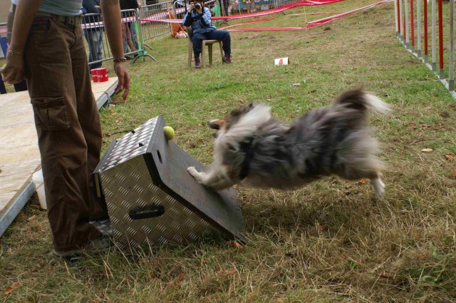 foire-haricots 2011-09-17et18